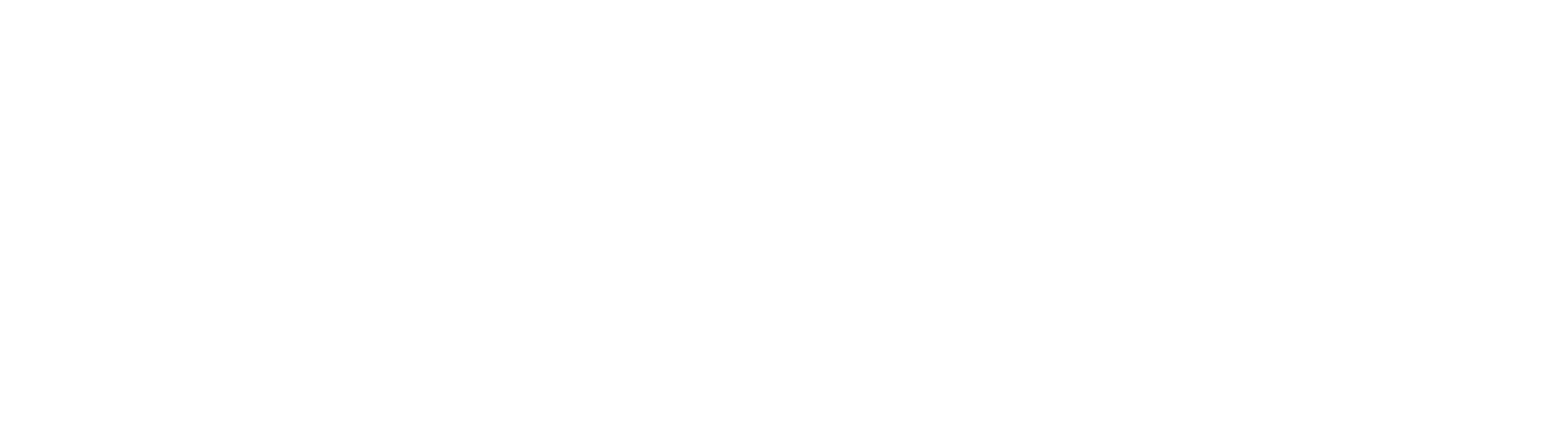 Tru Blu Pools logo
